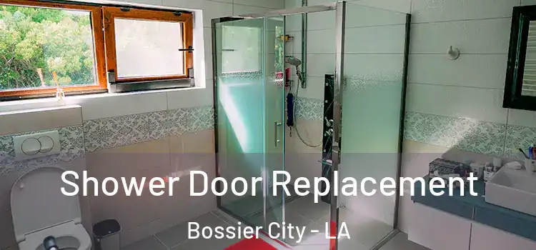 Shower Door Replacement Bossier City - LA